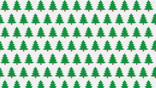O nachhaltiger Tannenbaum!