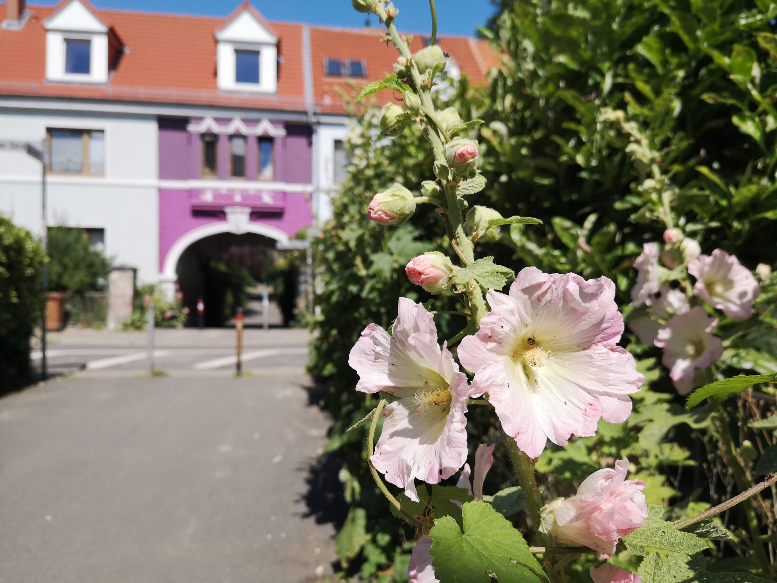 stadtteilspaziergang helene-kaisen weg