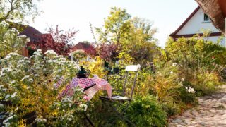 Garten gestalten: In fünf Schritten vom Wildwuchs zum schön angelegten Naturparadies