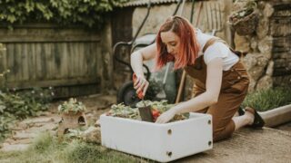 Urban Gardening: Gärtnern in der Stadt