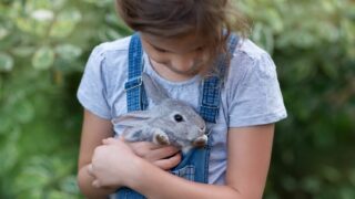 Haustiere im Garten halten – artgerecht und verantwortungsvoll