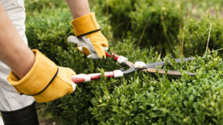 So machen Sie Ihren Garten fit für den Frühling