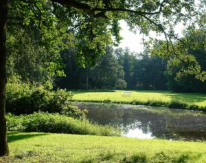 Teich Höpkens Ruh
