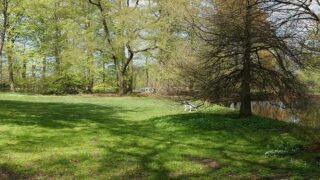 Höpkens Ruh: Ein Park für alle Sinne