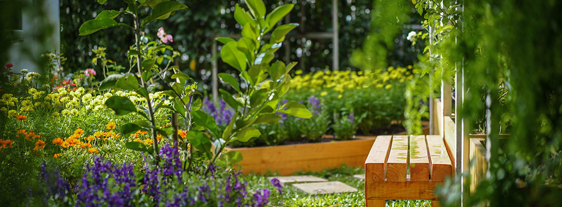 Garten & Balkon