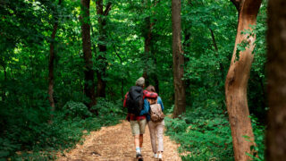 Wandern in Bremen und umzu