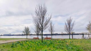 Außergewöhnliche Sehenswürdigkeit: Die Bahrsplate in Blumenthal