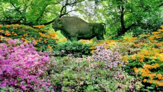 Ein buntes Meer voller Blüten