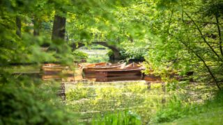 „NATURlich Bremen 2025“: Das Jahr der Stadtnatur