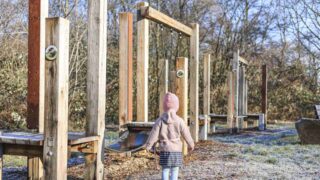 „Wilder Grüner Westen“: Natur-Oase in der Stadt