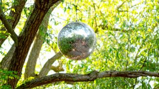 „Irgendwo“-Festival startet in die Saison
