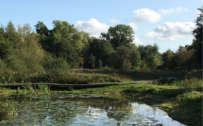 Landschaftsbild Huchting