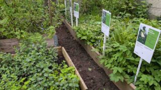 Klimagarten: Grüne Oase in Findorff
